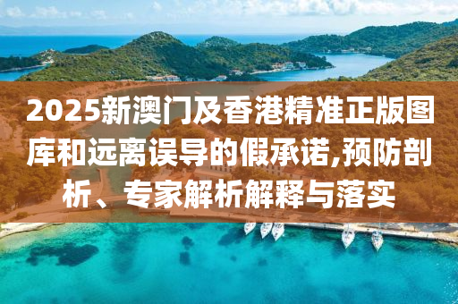 2025新澳門(mén)及香港精準(zhǔn)正版圖庫(kù)和遠(yuǎn)離誤導(dǎo)的假承諾,預(yù)防剖析、專(zhuān)家解析解釋與落實(shí)